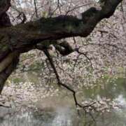 ヒメ日記 2026/04/05 13:22 投稿 舐升 穴美 性の極み妻 好き者たちの宴