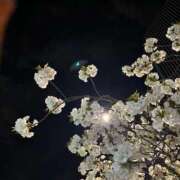 ヒメ日記 2026/04/05 22:32 投稿 舐升 穴美 性の極み妻 好き者たちの宴