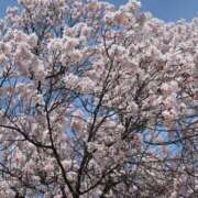 ヒメ日記 2026/03/20 21:09 投稿 ゆあ パイの巣