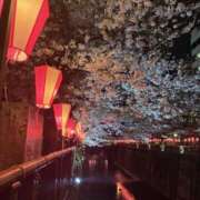 ヒメ日記 2026/04/03 21:00 投稿 ゆあ パイの巣