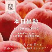 ヒメ日記 2026/03/28 07:19 投稿 水瀬ゆん OtoLABO～前立腺マッサージ（ドライオーガズム）専門店～