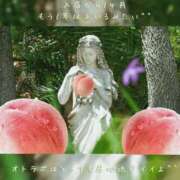 ヒメ日記 2026/03/31 20:49 投稿 水瀬ゆん OtoLABO～前立腺マッサージ（ドライオーガズム）専門店～