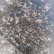 ヒメ日記 2026/03/28 20:41 投稿 なるみ 僕らのぽっちゃリーノin越谷