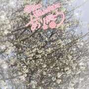 ヒメ日記 2026/03/29 20:40 投稿 なるみ 僕らのぽっちゃリーノin越谷