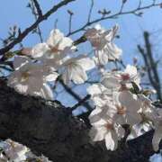 ヒメ日記 2026/03/24 18:20 投稿 なるみ 僕らのぽっちゃリーノin大宮