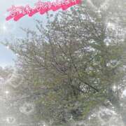 ヒメ日記 2026/04/10 10:20 投稿 なるみ 僕らのぽっちゃリーノin春日部