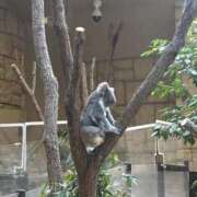 ヒメ日記 2026/04/29 12:12 投稿 あすか 透明感と色気の共存！ ウエスト・コム