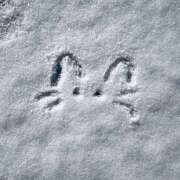 ヒメ日記 2026/02/21 10:53 投稿 りさ 海物語