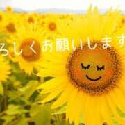 ゆうか はじめまして 鶯谷の爆乳奥さん