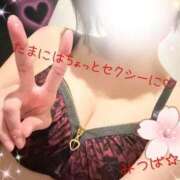 ヒメ日記 2026/02/11 09:12 投稿 みつば One More奥様　八王子店