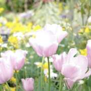 ヒメ日記 2026/04/11 09:44 投稿 えみ 大阪熟女本舗