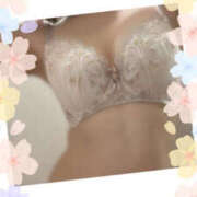 ヒメ日記 2026/04/02 09:01 投稿 いぶき TSUBAKI(つばき)土浦店