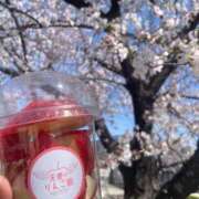 ヒメ日記 2026/04/02 14:39 投稿 まひろ THE ESUTE HOUSE 柴田