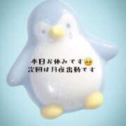 なつめ 本日お休みです🥺すみません😭 Felice(フェリス)