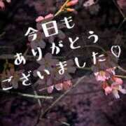 なつめ 来週の出勤予定♡♡ Felice(フェリス)