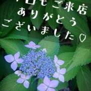 ヒメ日記 2026/06/02 22:22 投稿 なつめ Felice(フェリス)