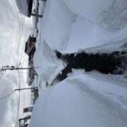 天海　ひめか 慣れない生活 イラマチーオ新宿店