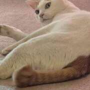 ヒメ日記 2026/02/10 15:16 投稿 花沢とも 熟女パラダイス池袋店(カサブランカグループ)