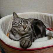 ヒメ日記 2026/02/15 08:16 投稿 花沢とも 熟女パラダイス池袋店(カサブランカグループ)