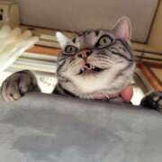 ヒメ日記 2026/02/16 17:30 投稿 花沢とも 熟女パラダイス池袋店(カサブランカグループ)