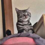 ヒメ日記 2026/02/17 14:50 投稿 花沢とも 熟女パラダイス池袋店(カサブランカグループ)