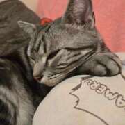 ヒメ日記 2026/02/21 08:38 投稿 花沢とも 熟女パラダイス池袋店(カサブランカグループ)