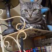 ヒメ日記 2026/02/22 08:14 投稿 花沢とも 熟女パラダイス池袋店(カサブランカグループ)