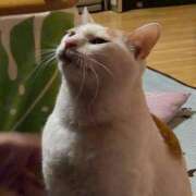 ヒメ日記 2026/02/23 08:20 投稿 花沢とも 熟女パラダイス池袋店(カサブランカグループ)