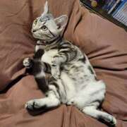 ヒメ日記 2026/02/26 07:46 投稿 花沢とも 熟女パラダイス池袋店(カサブランカグループ)