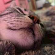 ヒメ日記 2026/02/28 13:08 投稿 花沢とも 熟女パラダイス池袋店(カサブランカグループ)