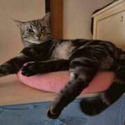 ヒメ日記 2026/02/28 16:38 投稿 花沢とも 熟女パラダイス池袋店(カサブランカグループ)