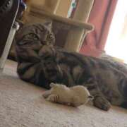 ヒメ日記 2026/03/01 17:00 投稿 花沢とも 熟女パラダイス池袋店(カサブランカグループ)