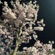 ヒメ日記 2026/03/26 22:24 投稿 上原れい 松戸人妻花壇