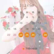 ヒメ日記 2026/02/18 22:15 投稿 美波　りりか OLセレクション宇都宮店