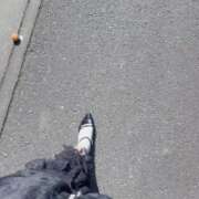 ヒメ日記 2026/02/23 11:43 投稿 ゆきの モアグループ 土浦人妻花壇