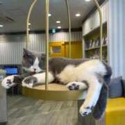 ヒメ日記 2026/02/22 10:32 投稿 Aqua【アクア】 ピンクコレクション尼崎店