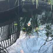 ヒメ日記 2026/03/14 19:45 投稿 みそら♪ プリティーガール