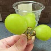 ヒメ日記 2026/03/06 09:34 投稿 吉岡 ローズマリー大塚