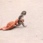 ヒメ日記 2026/02/12 10:08 投稿 あいこ クラブ貴公子