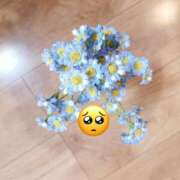 ヒメ日記 2026/03/10 19:04 投稿 宮崎まゆ 五十路マダム静岡店（カサブランカG）