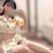 ヒメ日記 2026/02/11 04:57 投稿 スズメ PLATINUM