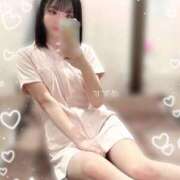 ヒメ日記 2026/02/12 15:36 投稿 スズメ PLATINUM