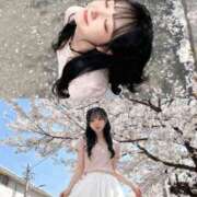 ヒメ日記 2026/04/04 16:51 投稿 みる 極楽城(ゴクラクジョウ)