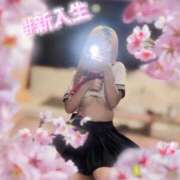 ヒメ日記 2026/04/11 08:43 投稿 アリス クラブKG