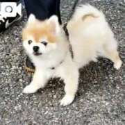 ヒメ日記 2026/02/15 06:44 投稿 まりな 完熟ばなな梅田