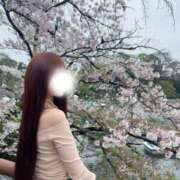 ヒメ日記 2026/04/19 13:13 投稿 ひなた★キレカワな敏感看護師★ Chloe錦糸町店 S級素人清楚系デリヘル