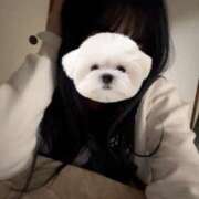 ヒメ日記 2026/02/23 20:15 投稿 まり♡18歳きらきら美少女♡ さくらんぼ女学院