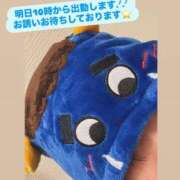 ヒメ日記 2026/02/20 11:36 投稿 ゆい なでし娘