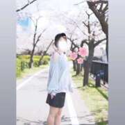 ヒメ日記 2026/04/03 08:51 投稿 ゆい なでし娘