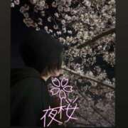 ヒメ日記 2026/04/03 23:46 投稿 ゆい なでし娘